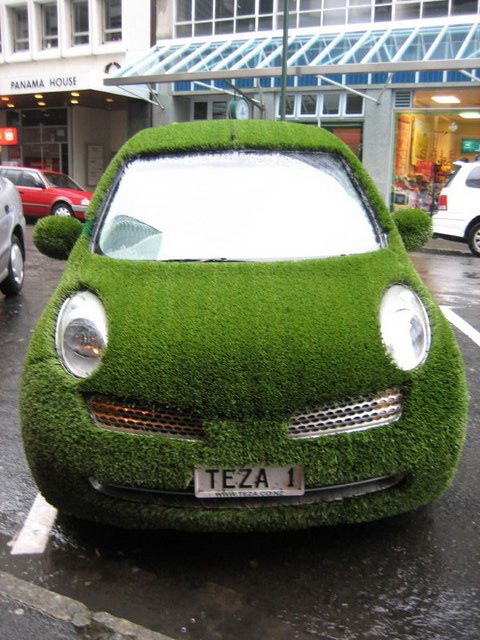 Name:  Green+Grass+Car.jpg
Views: 37
Size:  110.2 KB