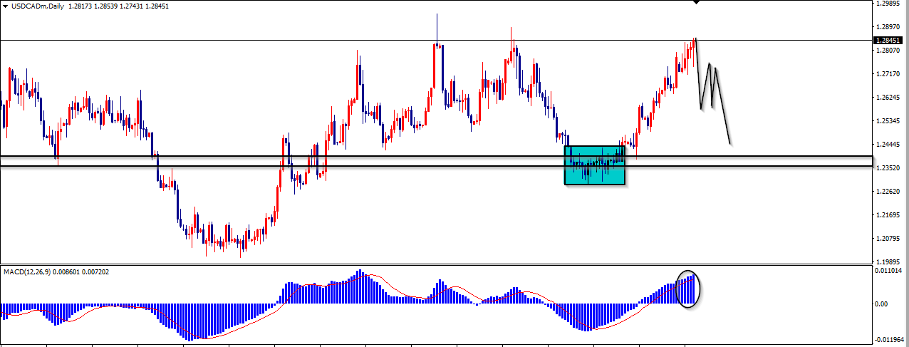 Name:  USDCAD Daily.png
Views: 92
Size:  38.7 KB